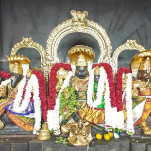 Lord Prahalada Varadan Vijayam (to Devotee's House)